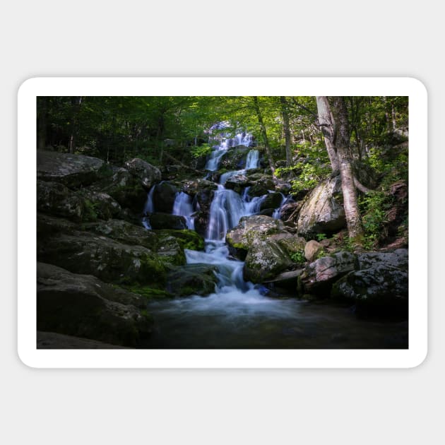 Dark Hollow Falls Sticker by jonesing